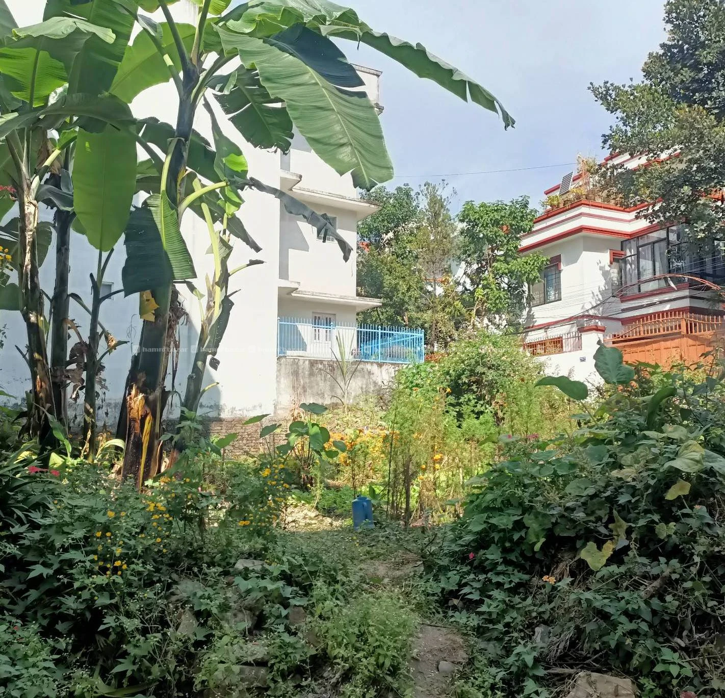 Land for sale in dhapasi