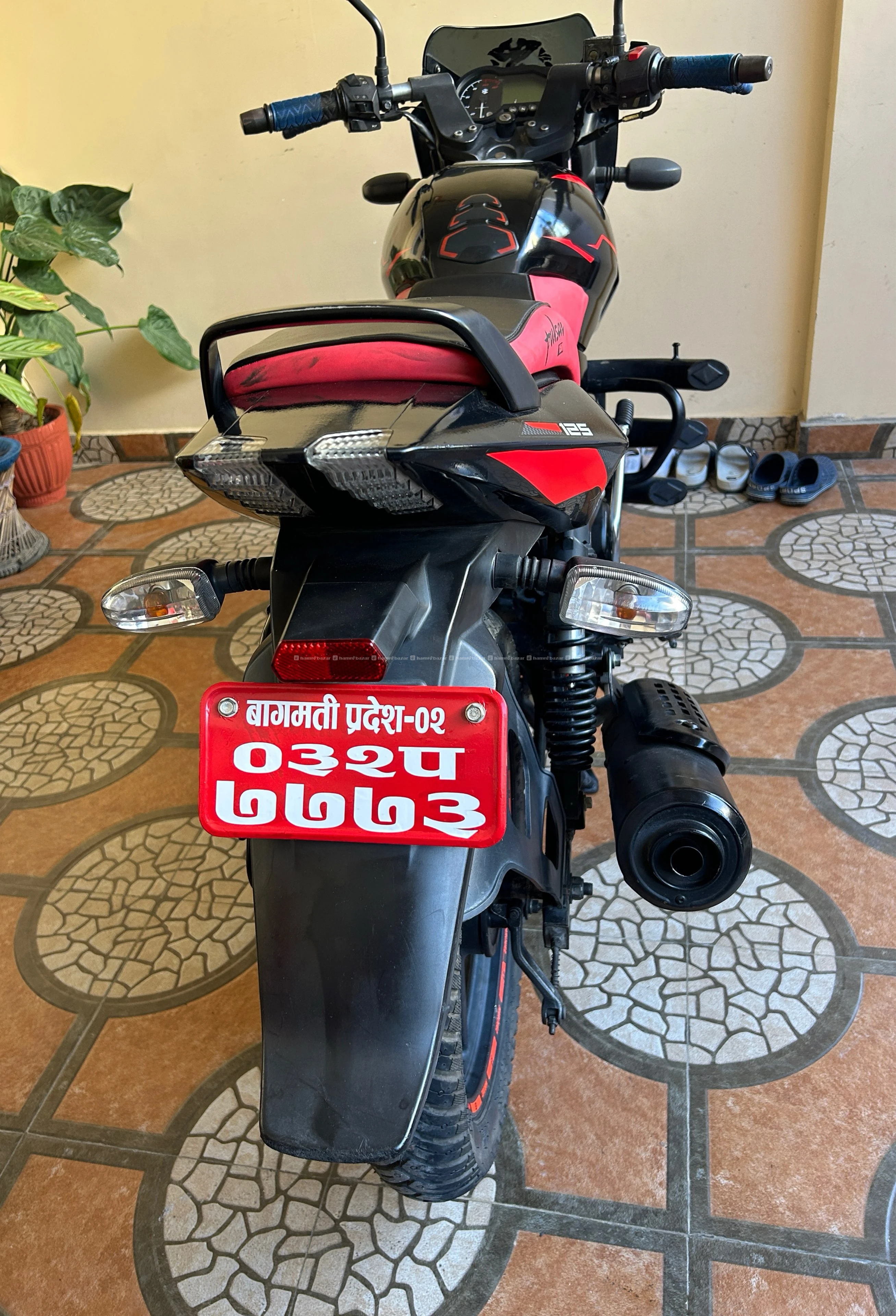 132 lot pulsar 2021 model 125cc