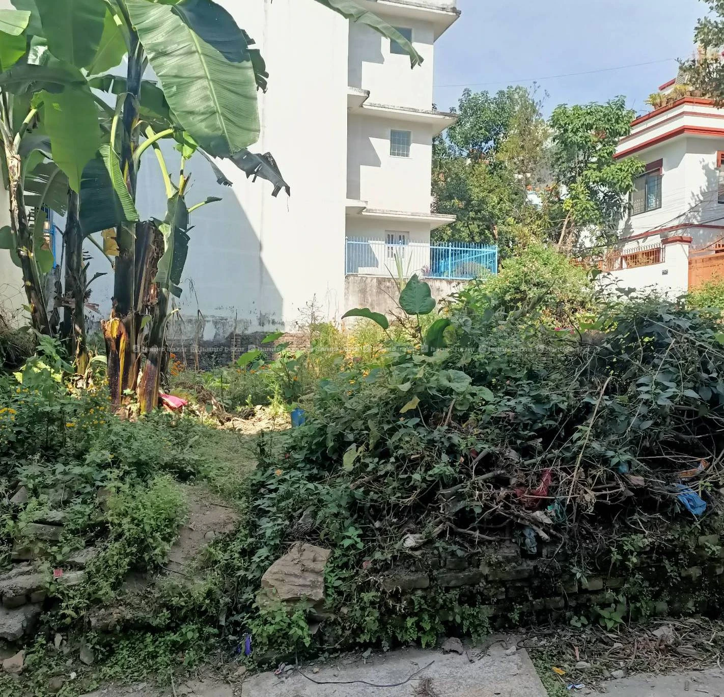 Land for sale in dhapasi 3