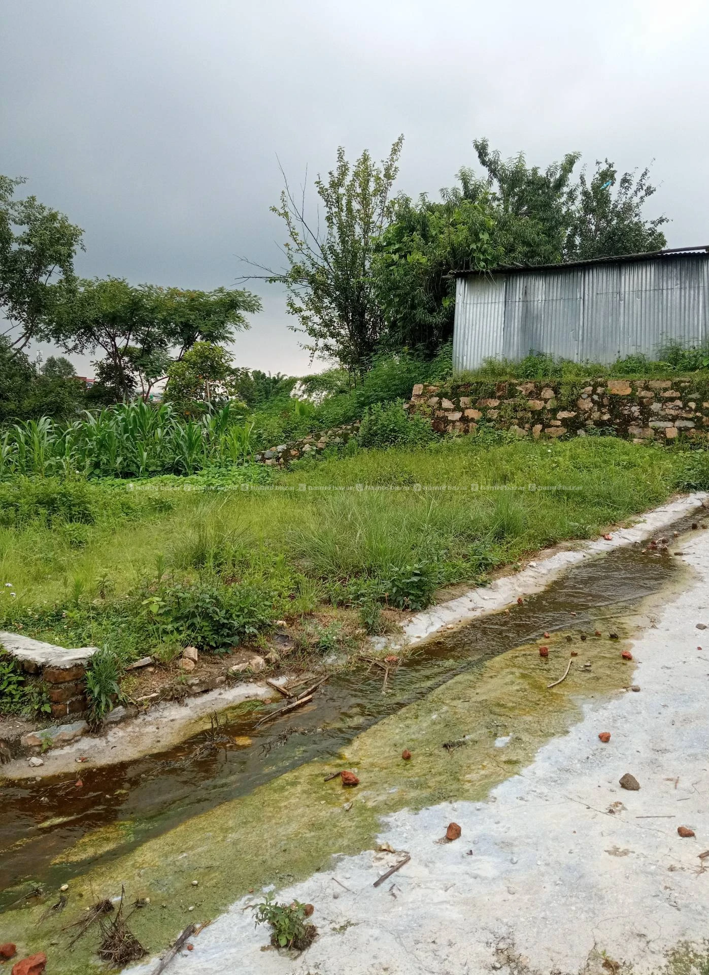 Land for sale at Sundarijal saanitari