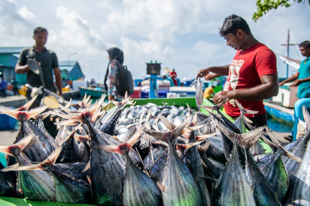 Photo - Asian Development Bank