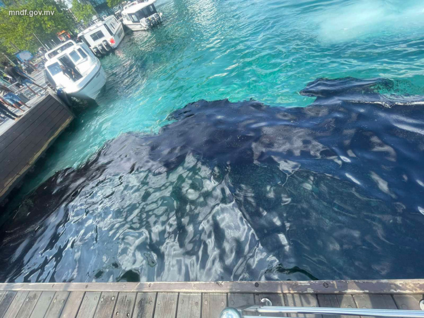The oil spilled near presidential jetty area | Photo: MNDF)