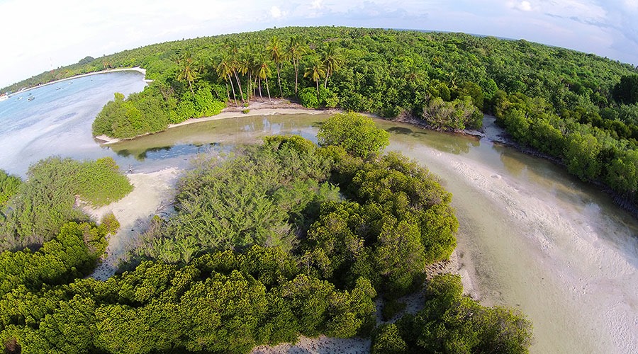 Mangrove & Wetland systems in the Maldives | Photo: UNDP Maldives