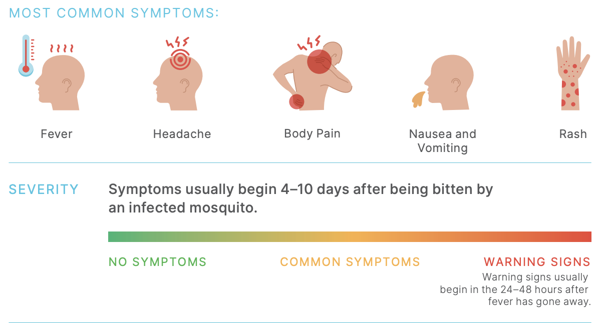 Infographic on the common signs experienced | Source - Maldivian Red Crescent VBD booklet