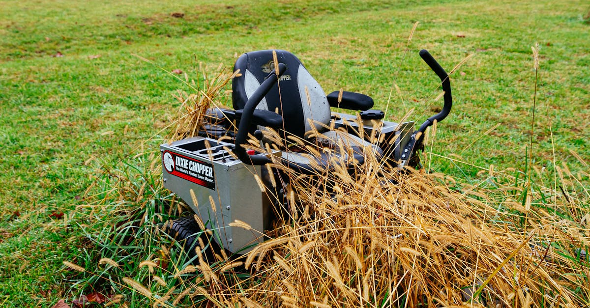 Lawn Mowing