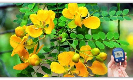 मुफ्त में मिलता यह पौधा सोने से भी ज्यादा कीमती है यह मोच, मधुमेह, कुष्ठ, खसरा जैसी लगभग 80 बीमारियों का मुफ्त इलाज है।