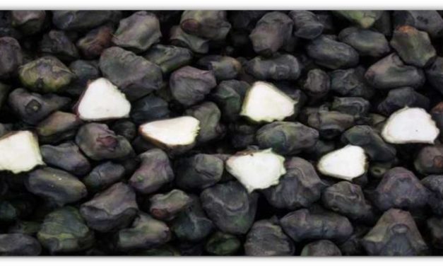 सिंघाड़ा का सेवन करने से बवासीर, पैर का दर्द और नपुंसकता, खून की कमी जीवन भर के लिए गायब,