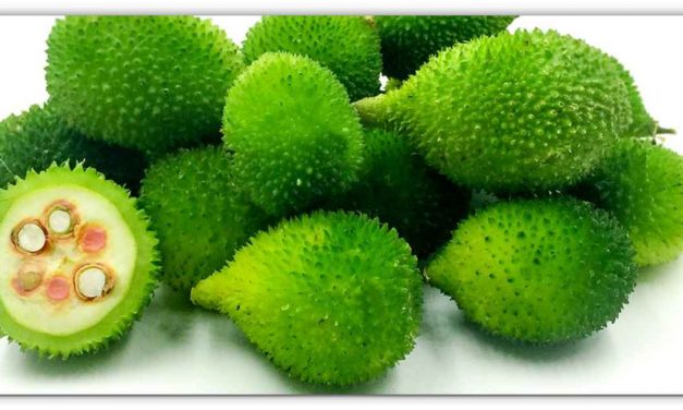 दुनिया की सबसे ताकतवर सब्जी है ककोडा, केंसर से लेकर हर तरह की बीमारी को कहो बाय बाय,