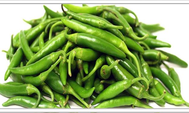 हरी मिर्च खाने से, कैंसर और पाचन रोगों आपके करीब नहीं आएगी,दवा लेने की जरूरत नहीं है