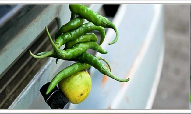 जानिए घर दुकान के बाहर नींबू और मिर्च क्यू लगाए जाते है, जानिए इसके पीछेका असली कारण क्या है।