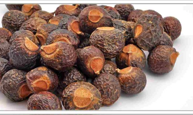 रीठा के चमत्कारिक फायदे,सिर्फ 3 दिन मे बाल मे रूसी, सफेद बाल जीवनभर के लिए गायब कर देगा,