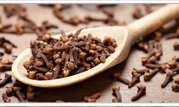 लौंग खाने के फायदे जानकर चौंक जाएंगे, पुरुषों के लिए सबसे अच्छा है, यहां क्लिक करें और जानिए इसका सही इस्तेमाल कैसे करें