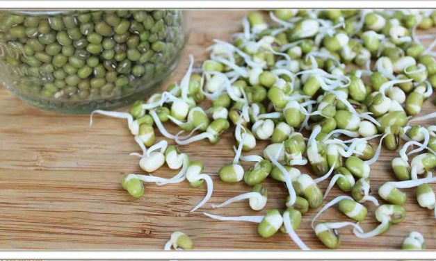 हररोज एक मुट्ठी अंकुरित मूंग खाने से मधुमेह, कमजोरी और हर दर्द जड़ से गायब हो जाएगा, चरबी मक्खन के जेसे पिगल जाएगी