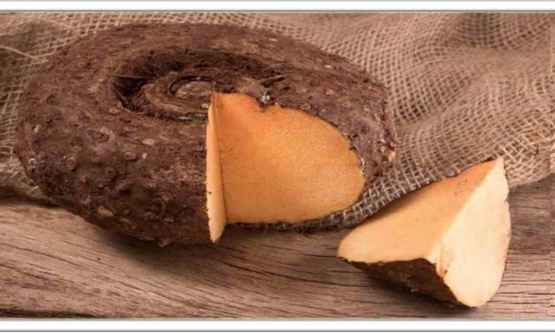 बवासीर, ट्यूमर, मधुमेह, पेट की चर्बी से राहत दिलाती है जिमीकंद(सूरन), कोई दवाई लेने की जरूरत नहीं है,उपयोगी माहिती सबको बताओ