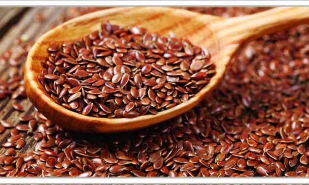 रोजाना अलसी खाने से मोटापा, बालों की समस्या,खासी से लेकर कई फायदे होते है, आज से ही शुरू करे खाना