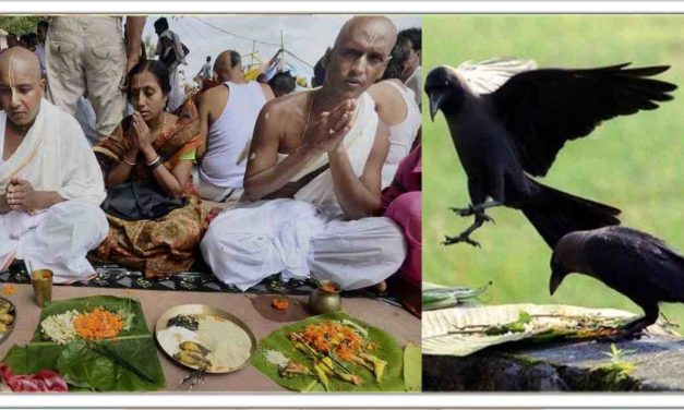 श्राद्ध के इस समय में करे ये काम, आपको पितृ दोष से मुक्ति मिल जाएगी। और पितृ का आशीर्वाद मिलेगा।