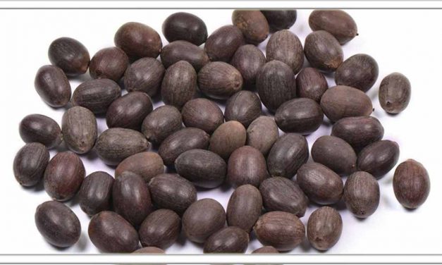 कमल गट्टे का सेवन करने से सिर्फ 7 दिनों में कोलेस्ट्रॉल, दिमागी गर्मी और हर मूत्र रोग गायब हो जाएगा।