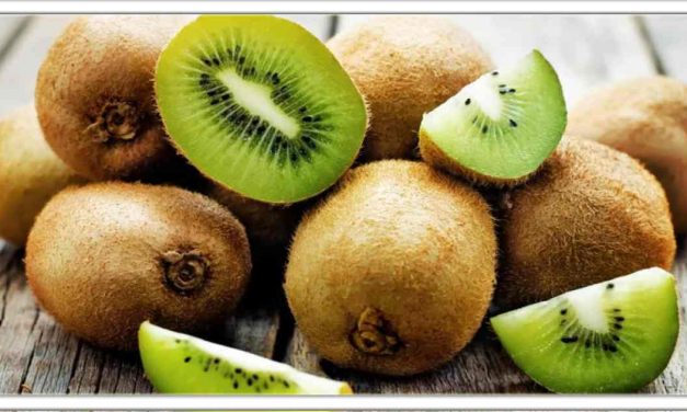 दुनिया का सबसे शक्तिशाली फल है कीवी, जड़ से खत्म हो जाएंगी खतरनाक बीमारिया,