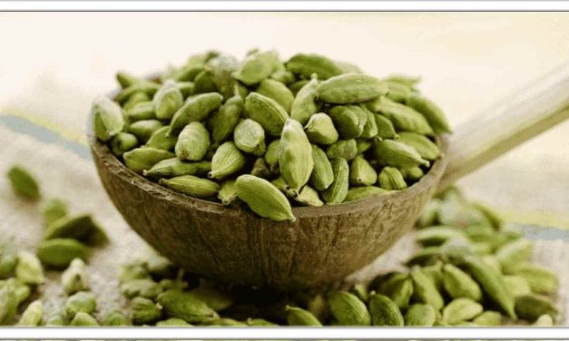 रात को सोते समय 1 इलायची खाकर पानी पी लें, फिर क्या होगा देखकर होश उड़ जाएंगे