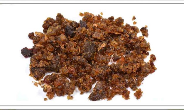 गूगल खाने से कोलेस्ट्रॉल, मोटापा और कब्ज जैसी कई बीमारी दूर हो जाएगी, 80 साल तक कोई बीमारी नहीं होगी।