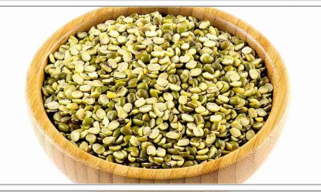 मूंगदाल खाने से मधुमेह से लेकर कोलेस्ट्रॉल तक हर बीमारी को नियंत्रित कर सकता है। एक बार जरूर पढिए।