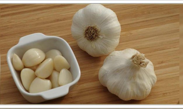 सुबह खाली पेट लहसुन खाने से होते है शरीर मे जबरदस्त फायदे, जानिए