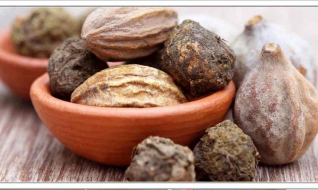 लाखों बीमारिओ का काल है बहेड़ा, त्वचा और अस्थमा के लिए संजीवनी समान है,