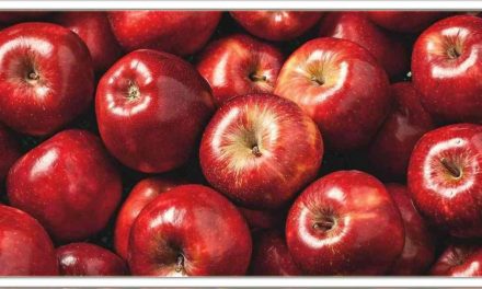 छिलके के साथ सेब खाने से होते है बेसिमाल फायदे, ये खतरनाक बीमारी के लिए रामबाण उपाय, तो इस लेख को एक बार पढ़ें