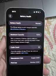 iPhone 17 Pro Max 256GB iCloud Bypass Silver Color 10/9 Fixed Price