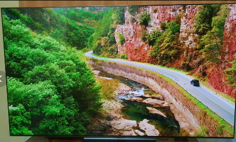 LG C3 65 inch OLED TV