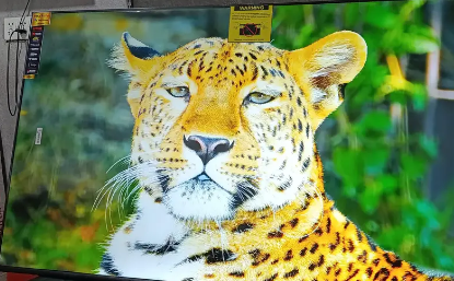 65. INCH LG WEB OS LED LATEST 2026 MODEL BEST QUALITY O322I257237