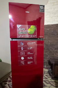 Haier Refrigerator HRE-346 EPC/EPB/EPR | Glass Door | Medium Size