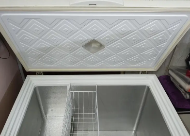 Waves Deep Freezer WDF-313