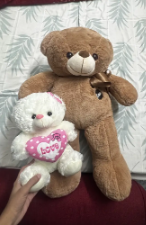 Brand new teddy bear for gifting and babies