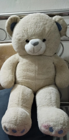 Teddy Bear for sale