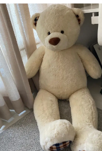 Brand New Teddy Bear – Soft Plush Toy | Perfect for Gift & Decoration