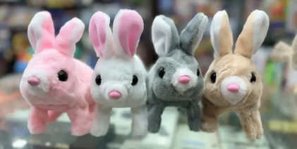 Stuff Toys | Stuff Teady Bear | Teady bears in islamabad | Stuff Bears