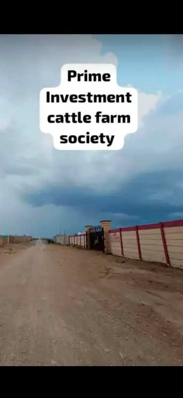 Cattle Farm goat farm dairy farm