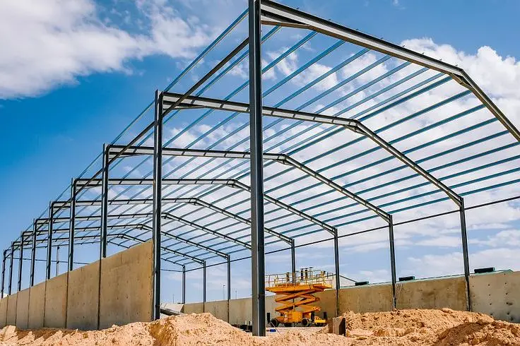 Prefab Engineering Building Steel structure Dairy sheds Farm sheds