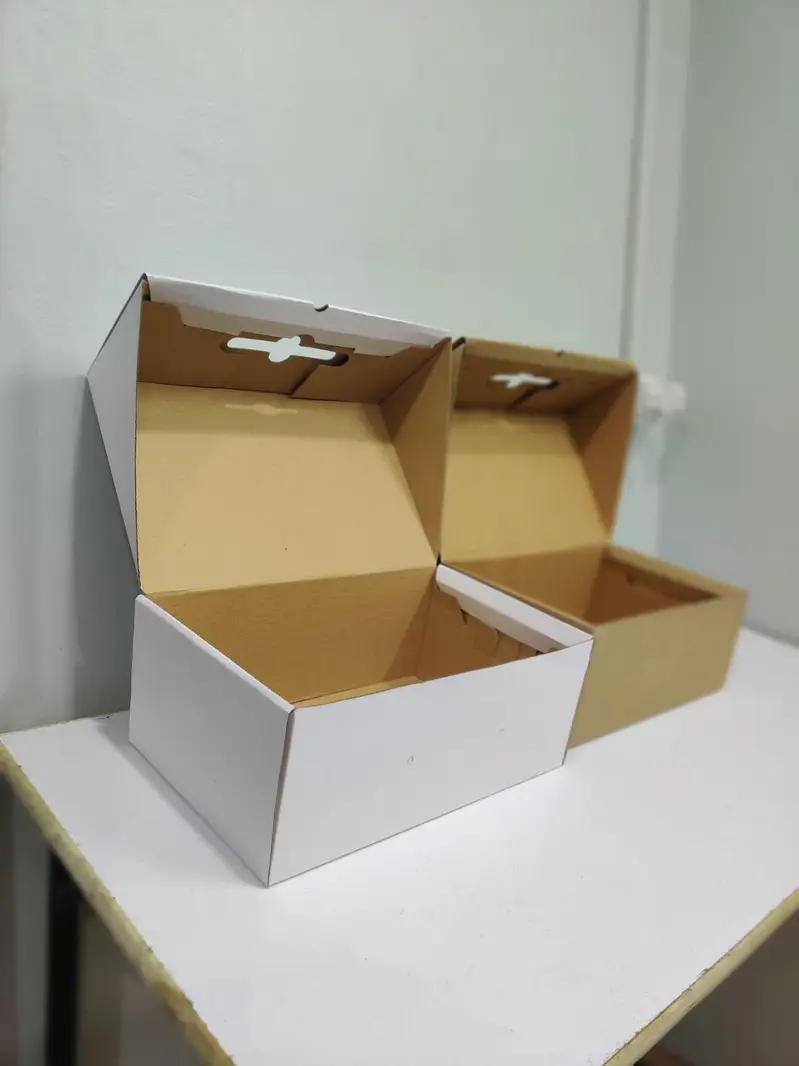 Corrugated Boxes Karachi/Carton Box/Box supplier Karachi/Shoe box