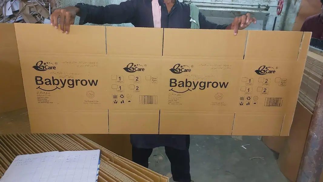 Carton Box/Packaging Box/Custom Corrugated Box/ Carton Box supplier