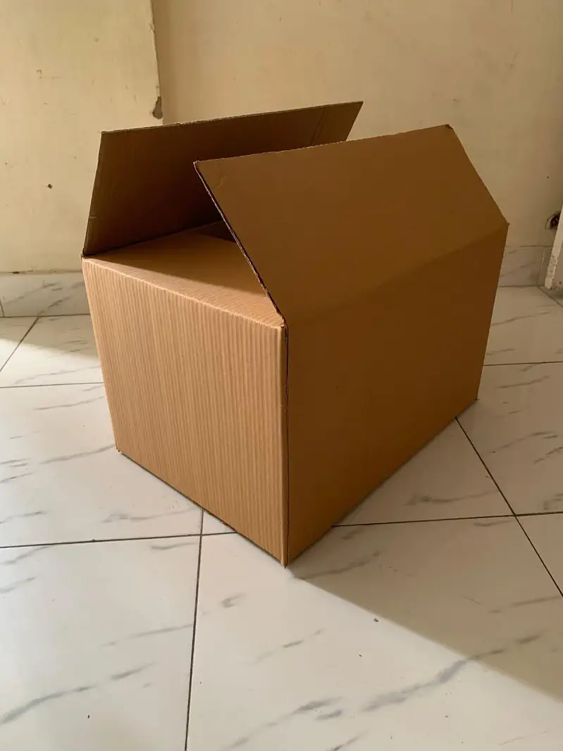 Carton Box/Shoe Box/Packaging Moving Box/ Corrugated Box Manufacturer