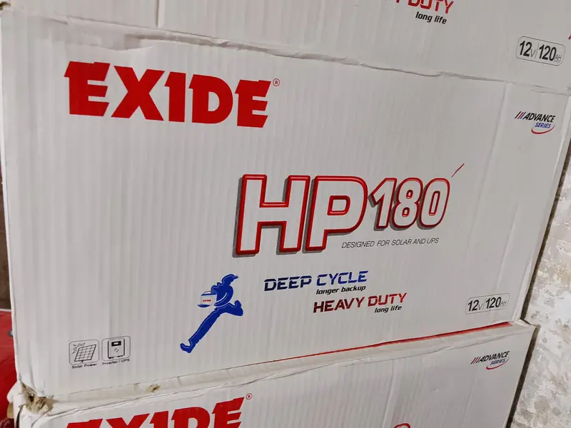 Exide, Osaka battery wholesaler (Garden market)