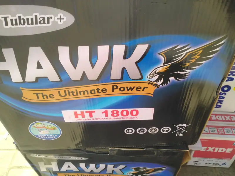 Exide, Osaka battery wholesaler (Garden market)