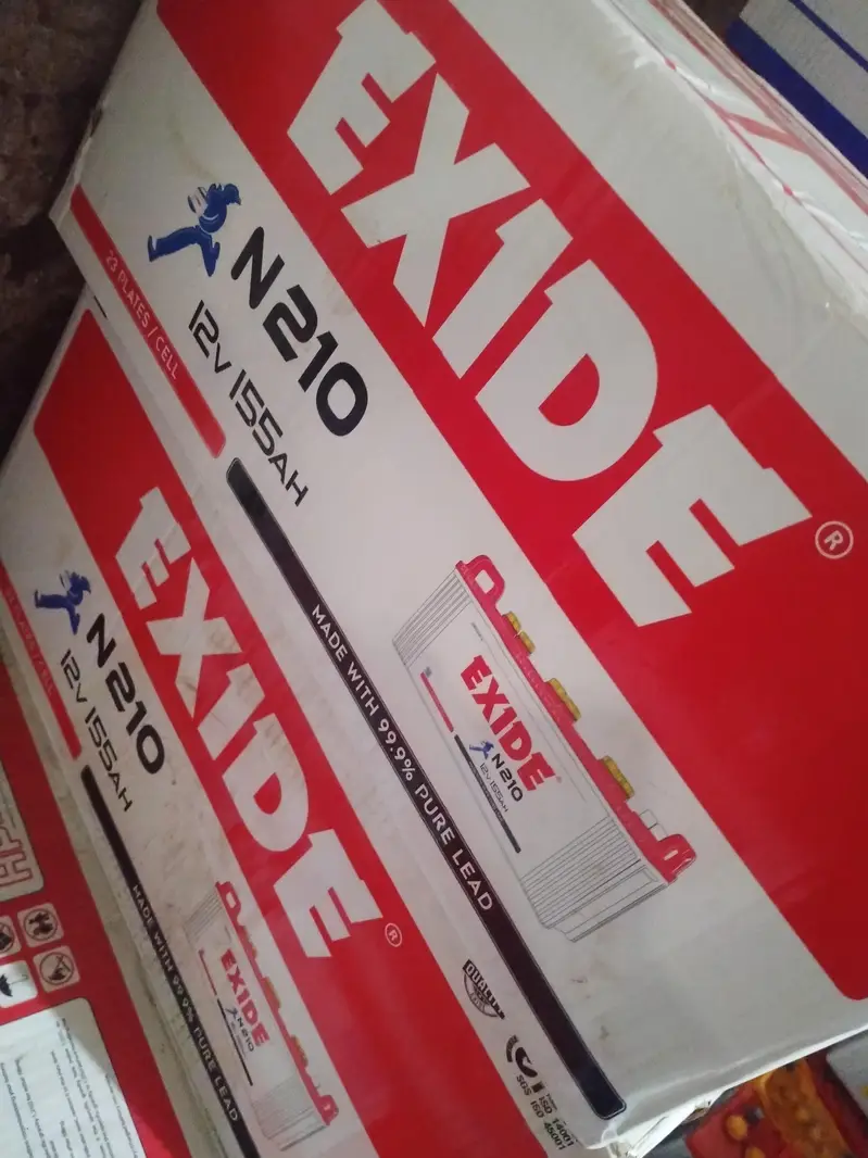 Exide, Osaka battery wholesaler (Garden market)