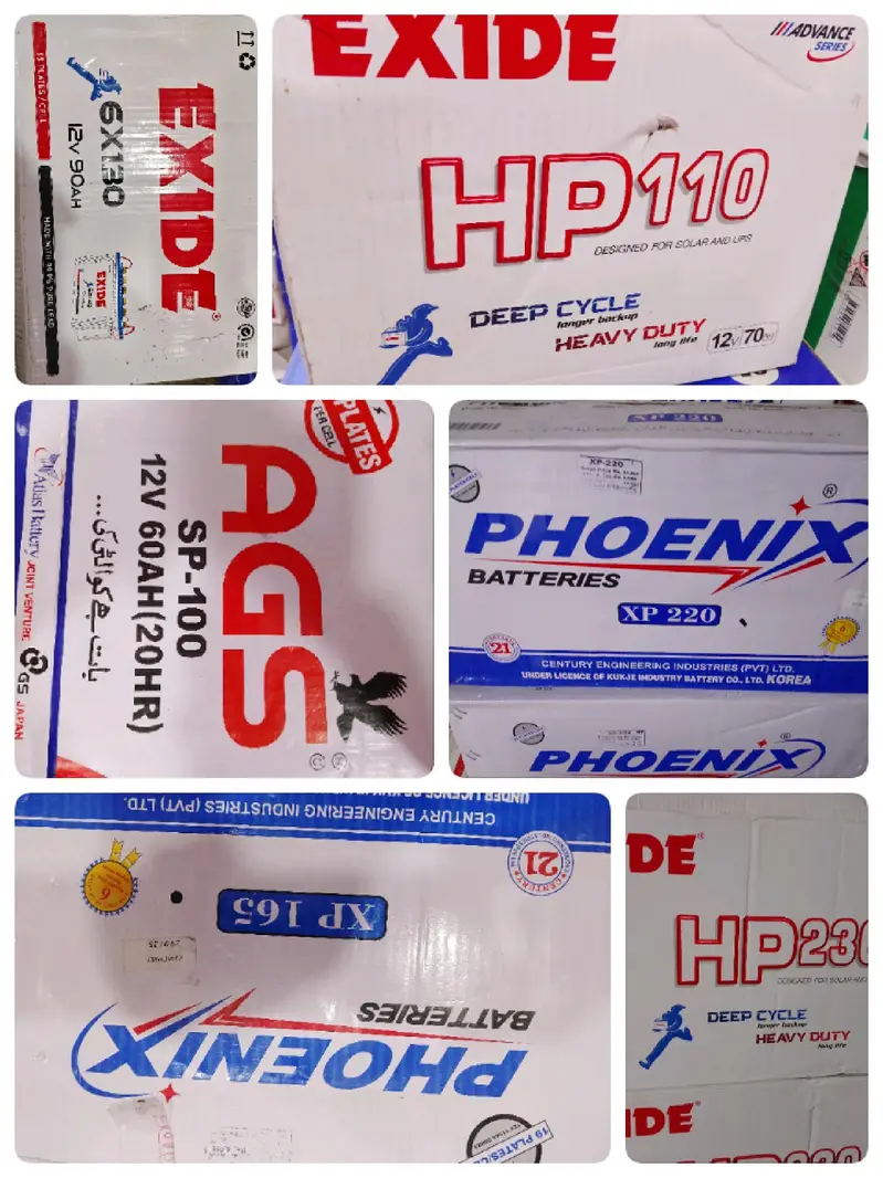 Exide, Osaka battery wholesaler (Garden market)