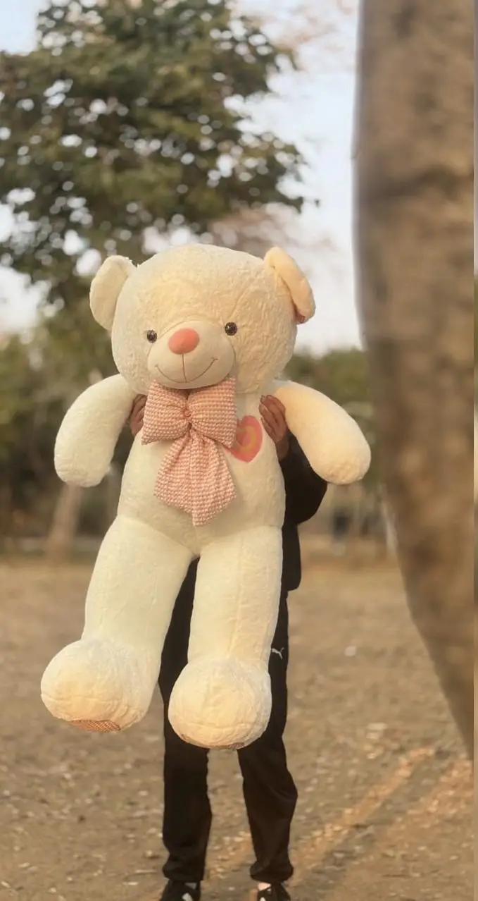 STUFF TEDDY | STUFF BEAR | Teddy Bear | Stuff Toys