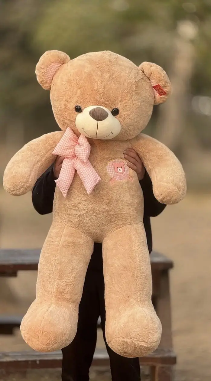 STUFF TEDDY | STUFF BEAR | Teddy Bear | Stuff Toys