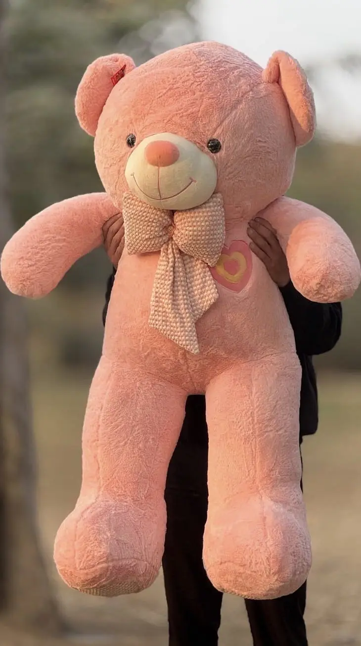 STUFF TEDDY | STUFF BEAR | Teddy Bear | Stuff Toys