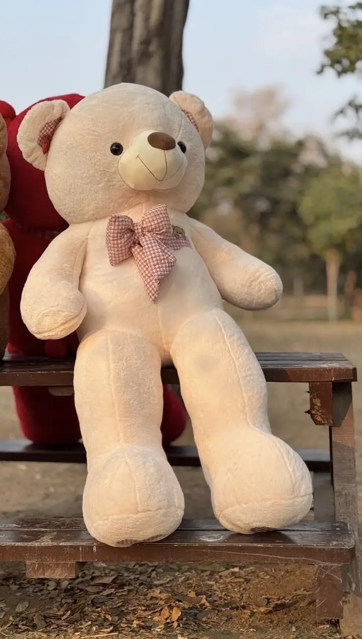 STUFF TEDDY | STUFF BEAR | Teddy Bear | Stuff Toys